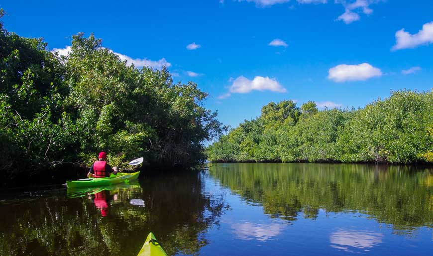 Peaceful easy kayaking on this section of the Turner River