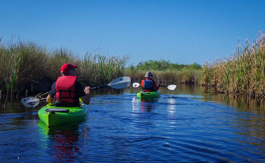 Kayaking in Florida in a sawgrass marsh landscape once we're out of the mangroves