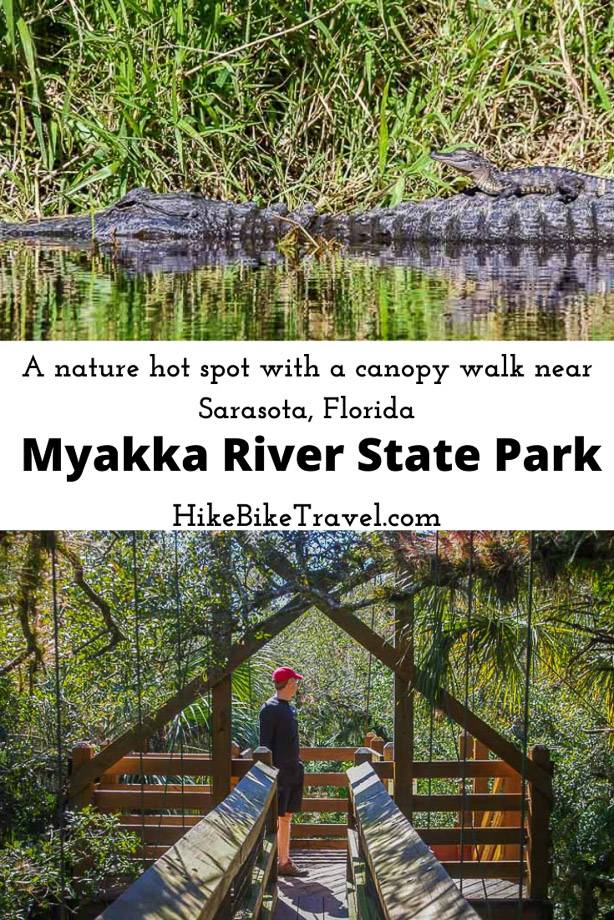 Myakka River State Park - a nature hot spot with a canopy walk near Sarasota, Florida