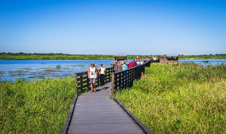 Checking out the birdwalk on Upper Myakka Lake