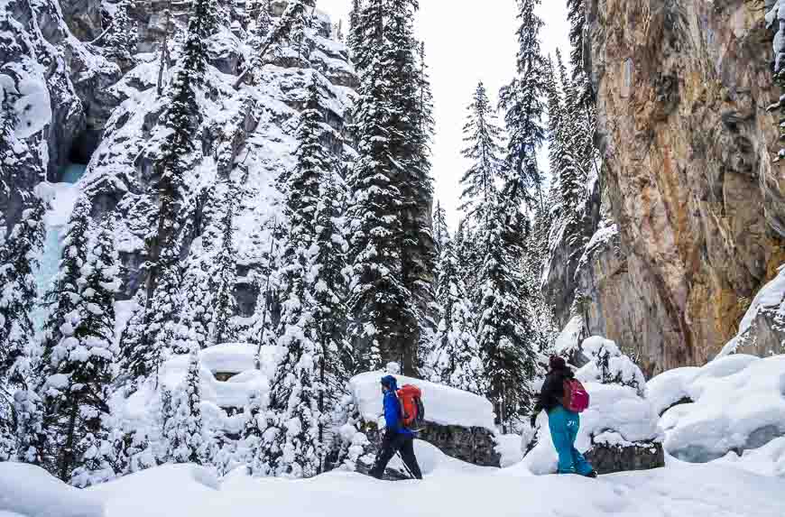 Snowshoeing in Jasper and the canyon walls start closing in