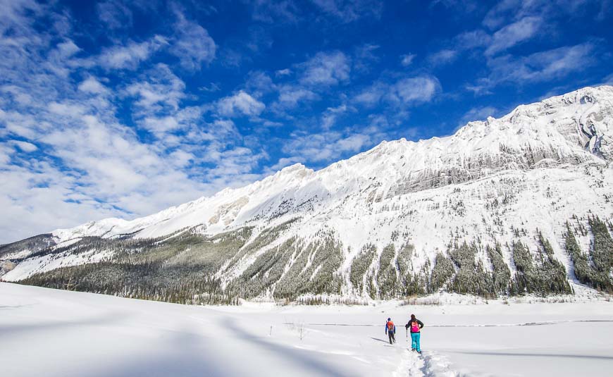  What a view snowshoeing in Jasper National Park!