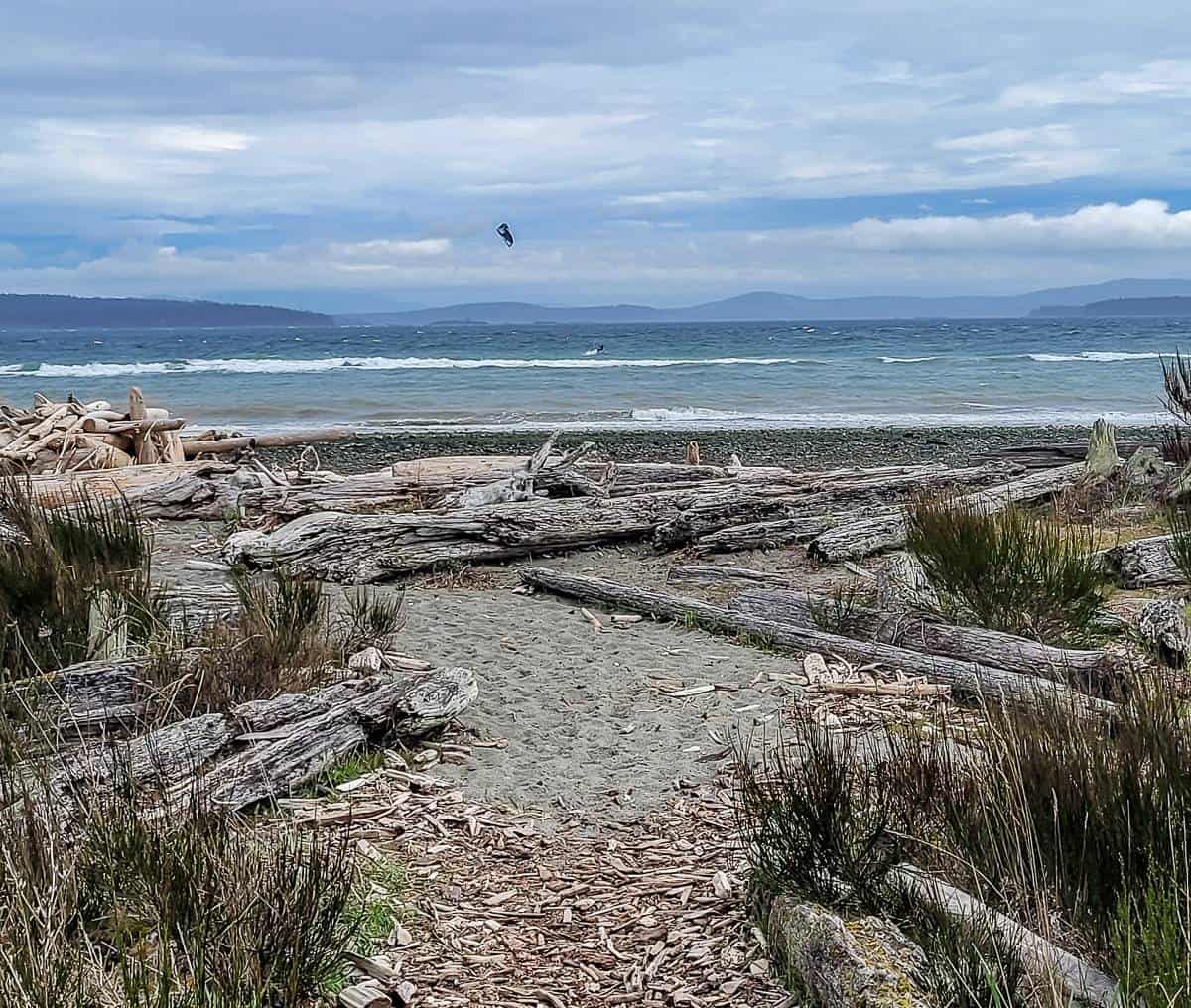 There's a long sandy beach near Sidney, BC in Island View Regional Park that's perfect for walks and picnics