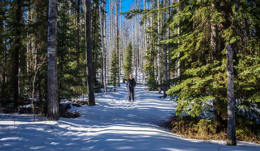 Near Rocky Mountain House enjoy delightful skiing around Crimson Lake