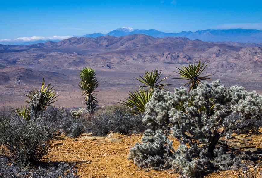 10,381 ' Mt. San Jacinto is one of the mountains you see from the summit