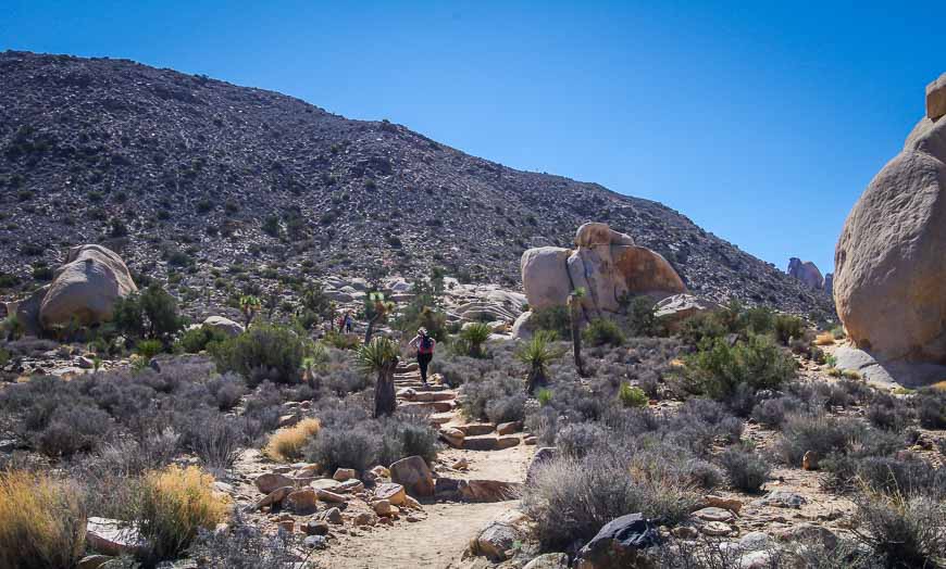 Starting off on the Ryan Mountain hike