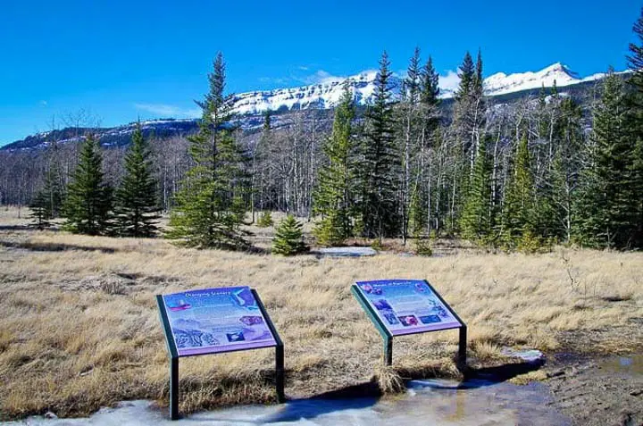 Educational signs on route to Siffleur Falls