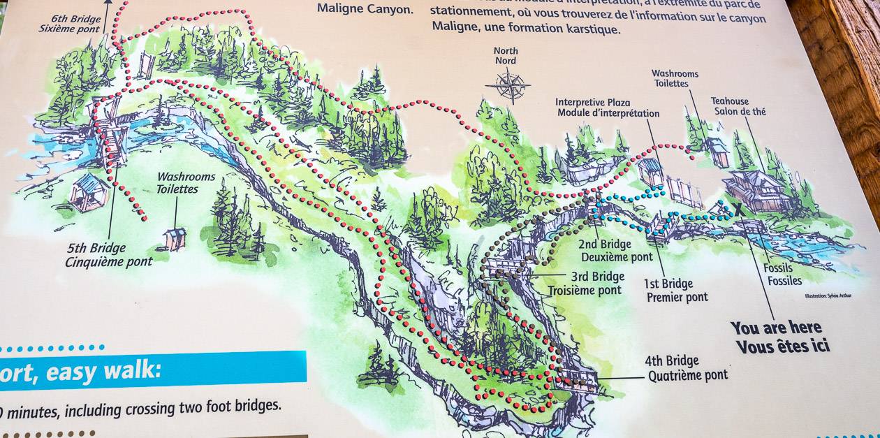 Orient yourself with this map of Maligne Canyon