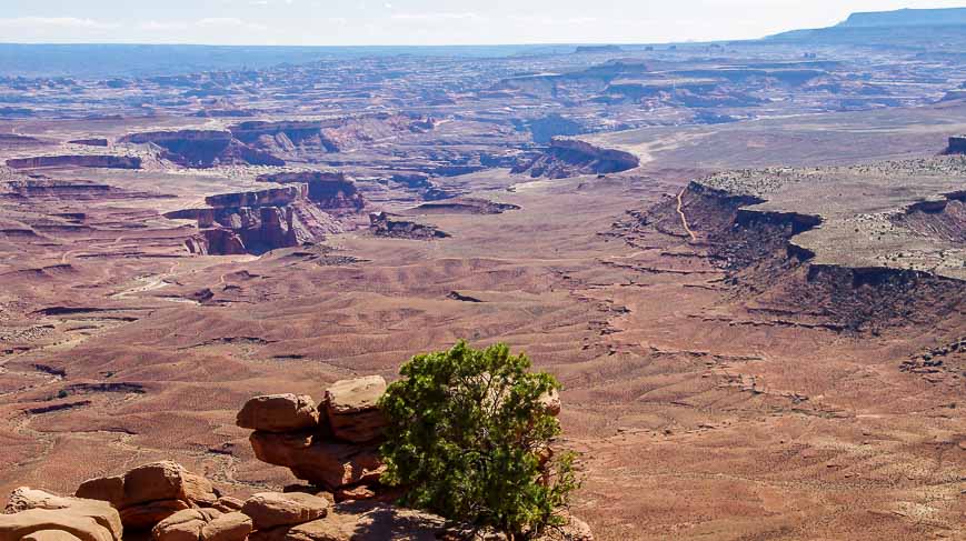 More great views from Murphy Point Canyonlands