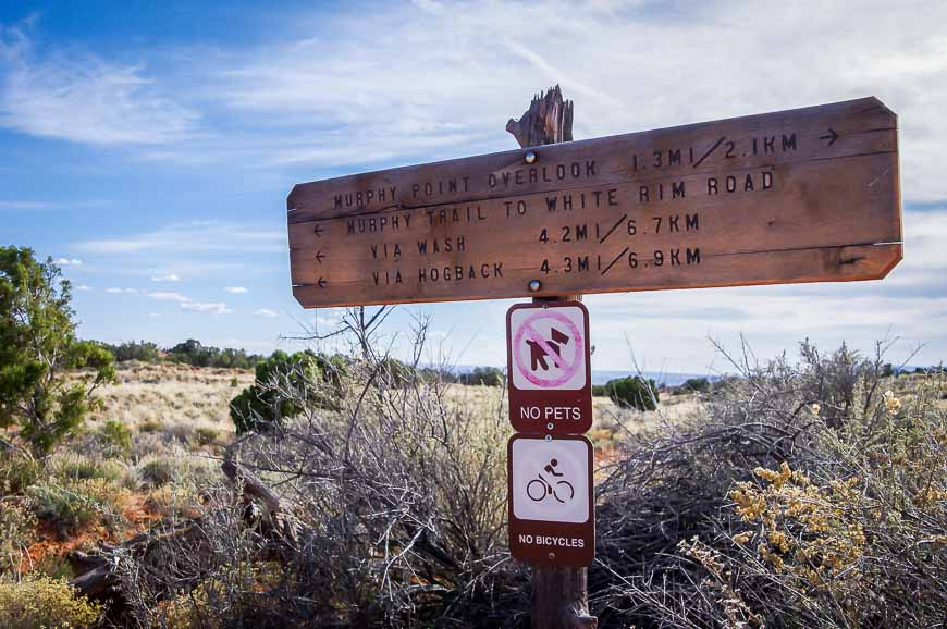 Lots of other hikes in the Islands in the Sky Area