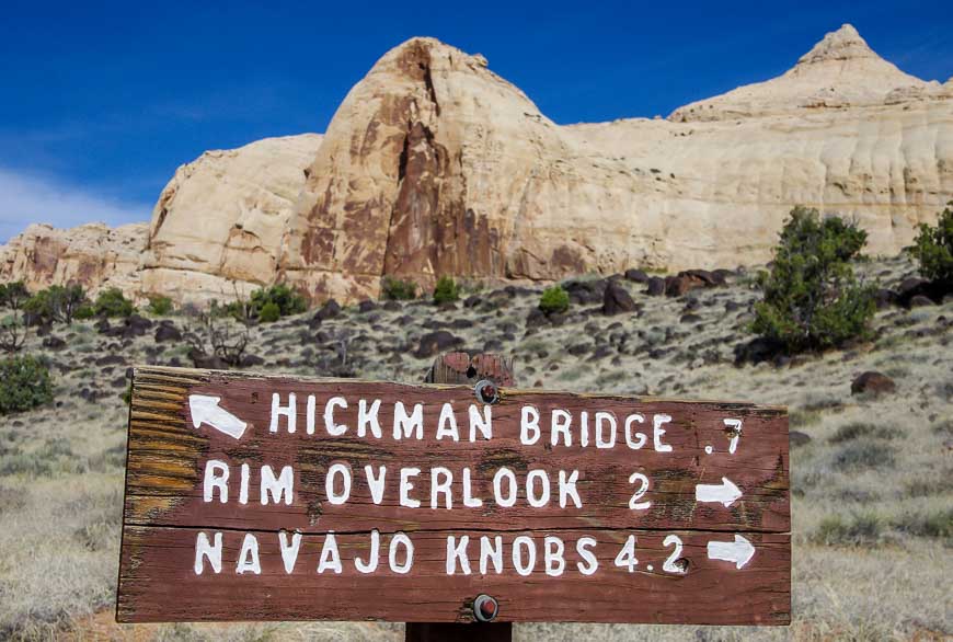 Its 4.5 miles one way to the Navajo Knobs