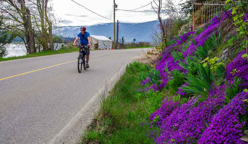 Biking in the Shuswap 