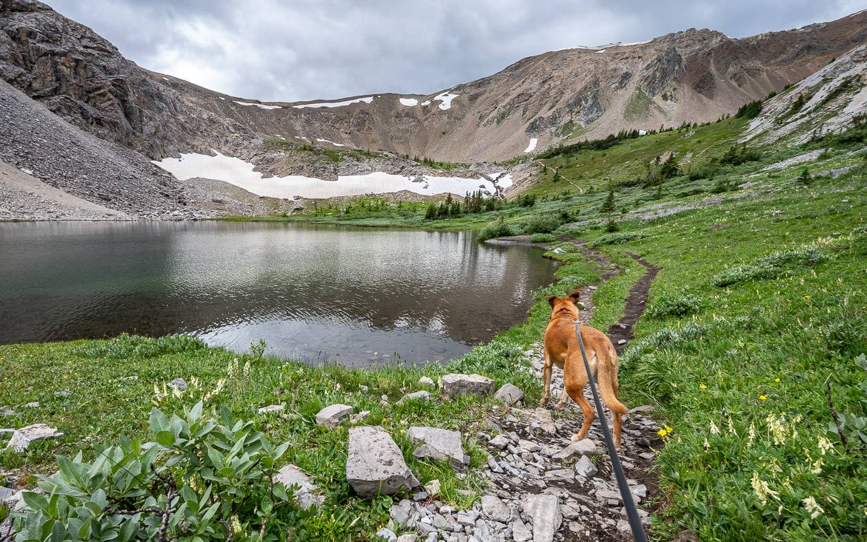 Harvey Lake at Harvey Pass