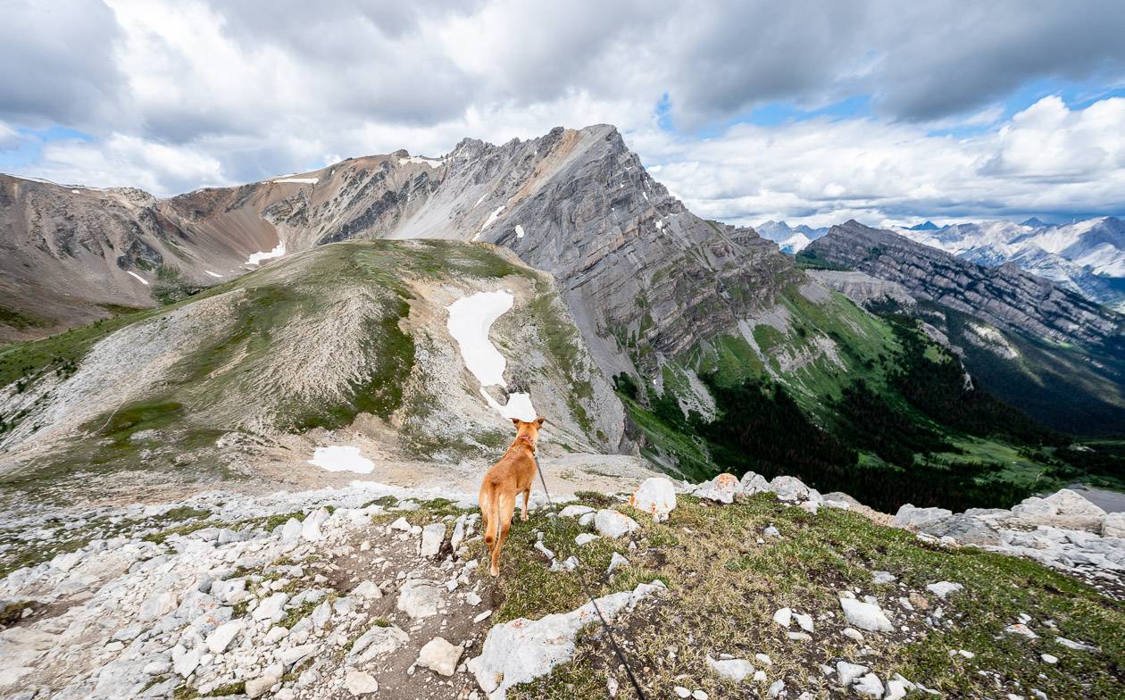 The view from a short distance up Mt. Bourgeau