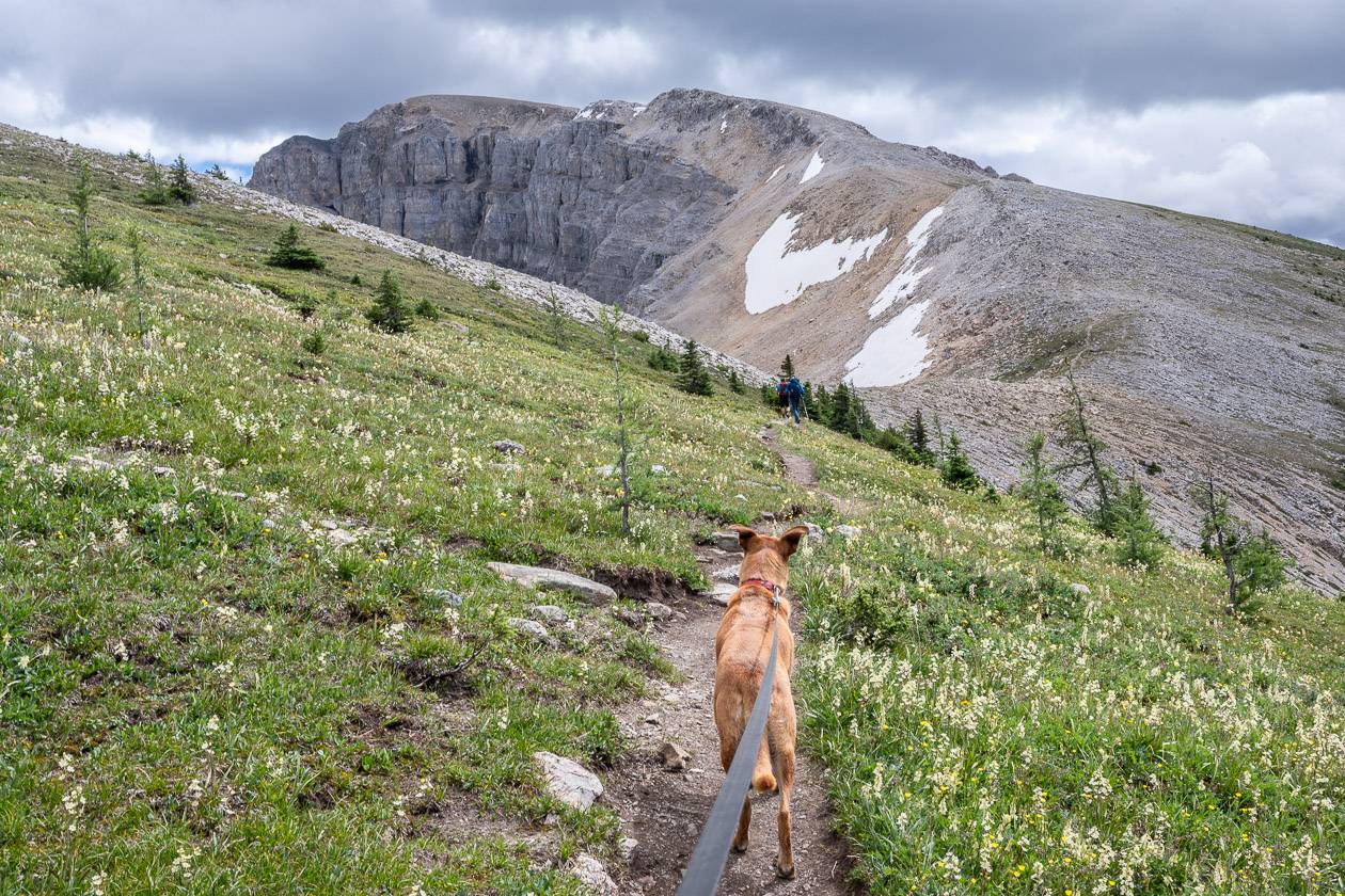 Heading for Mt. Bourgeau