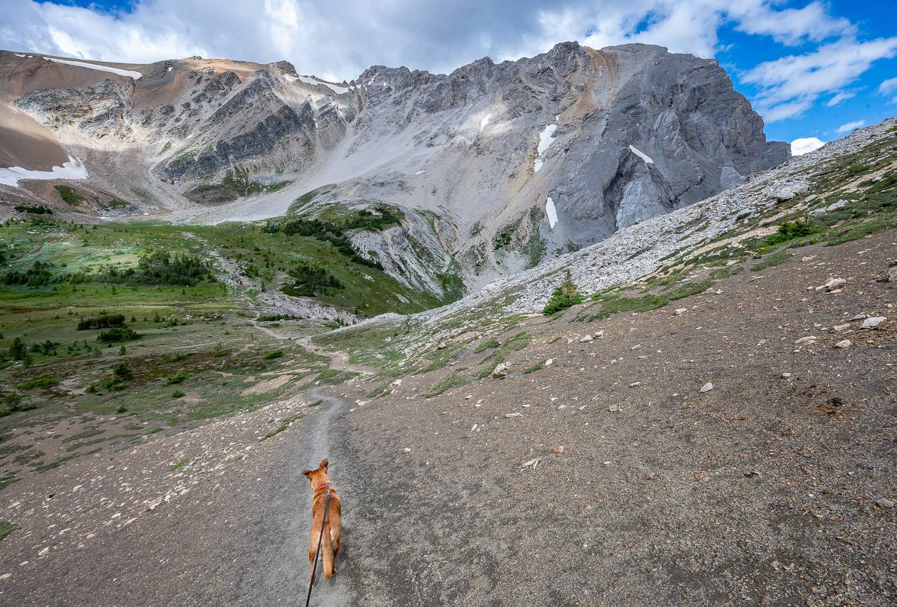 Descending from Harvey Pass