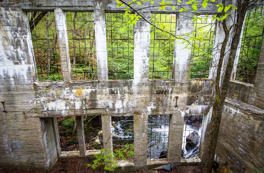 Nature takes over at the Carbide Willson Ruins 