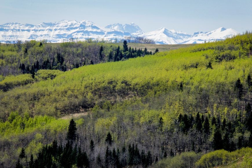 Looking towards the mountains in Kananaskis Country from the Cross Conservation area - Photo credit: Leigh McAdam