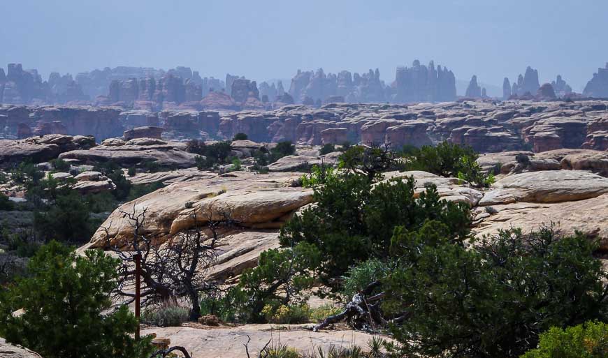 You can see why it's called the Needles District