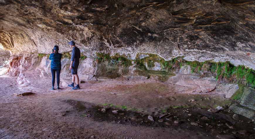 Cave Spring has been a reliable source of water for centuries - lots of maidenhair fern and pictographs in the cave