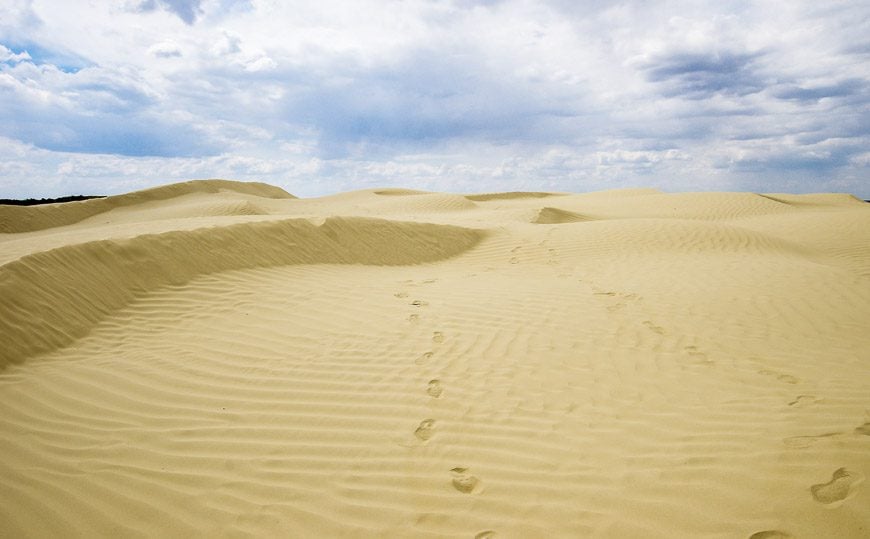 Footprints in the sand