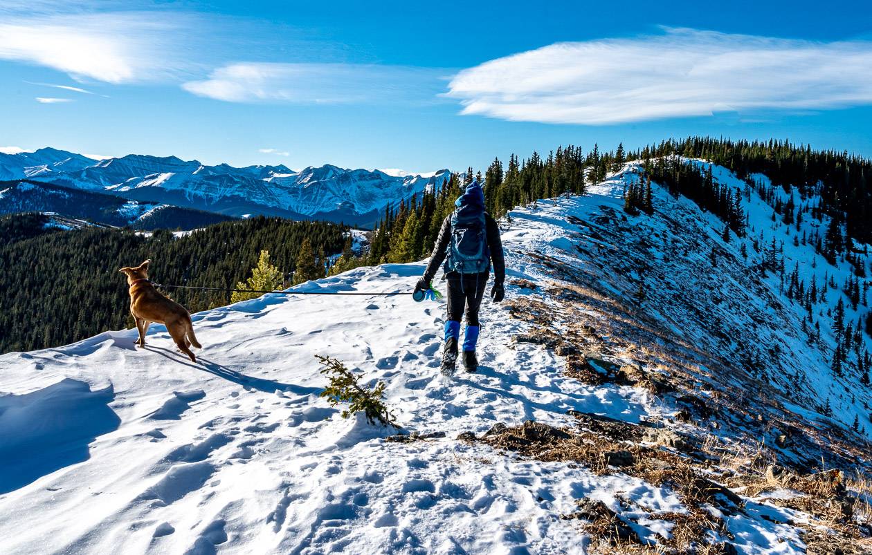 Lovely, easy walking with little elevation gain to the summit of Cox Hill