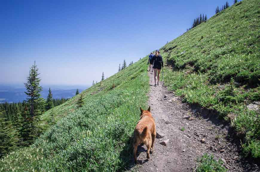 Zigzagging up a steep section of Cox Hill