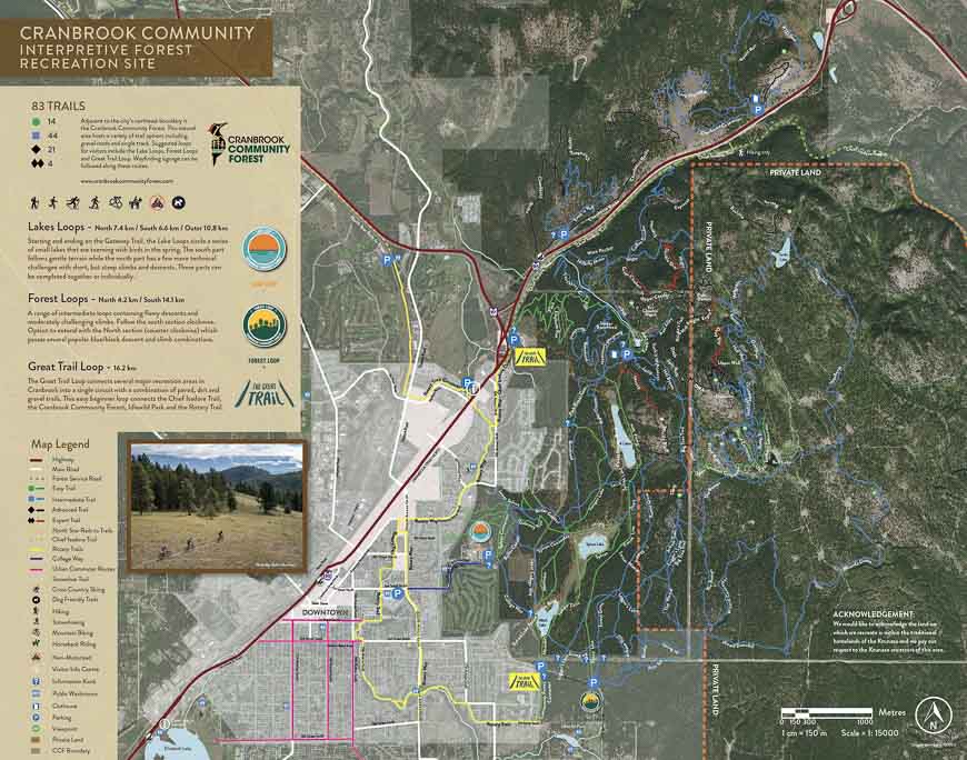 Cranbrook Community forest trails