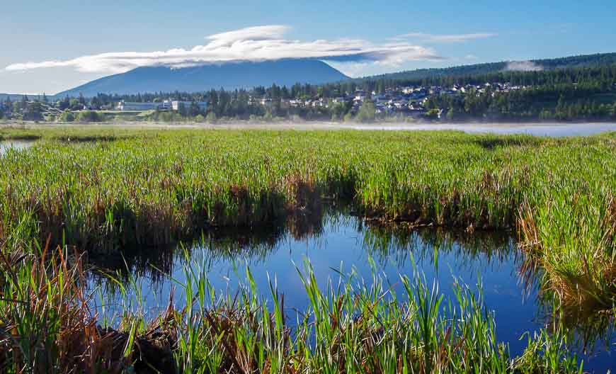 Elizabeth Lake Bird Sanctuary in Cranbrook