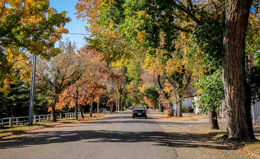 Quiet tree lined streets in Maple Creek Saskatchewan