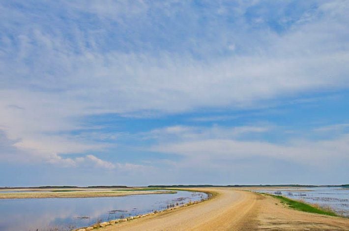 Deserted roads surrounded by water are great places for birding