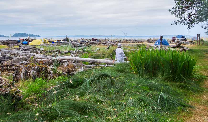 A campsite on Blake Island with a view