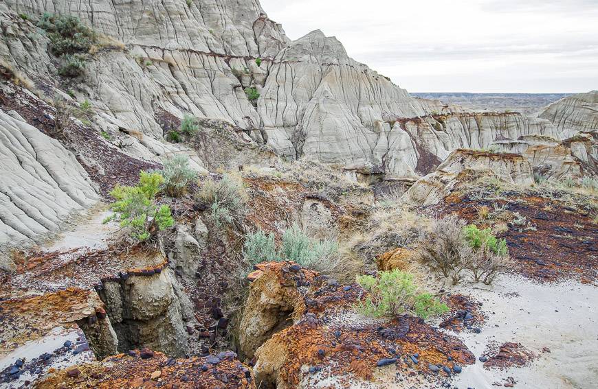 Lots of iron staining on these rocks