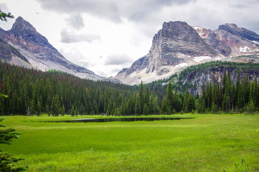 You can see Whistling Pass and even the trail way off in the distance