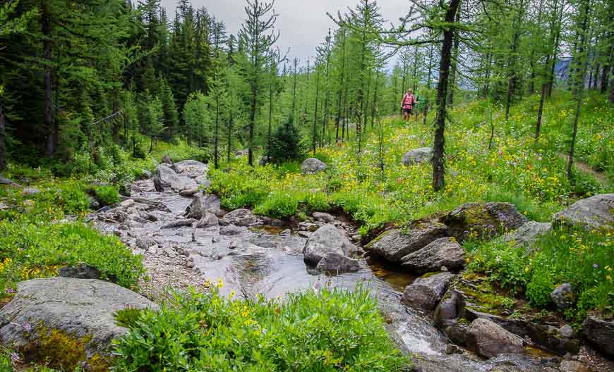 The pretty part of the descent from Healy Pass