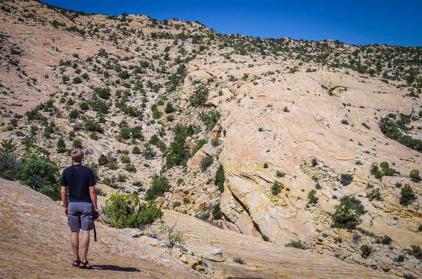 My geologist husband loving these rocks