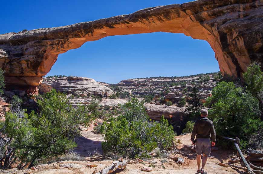 You could easily spend a day hiking in Natural Bridges National Monument