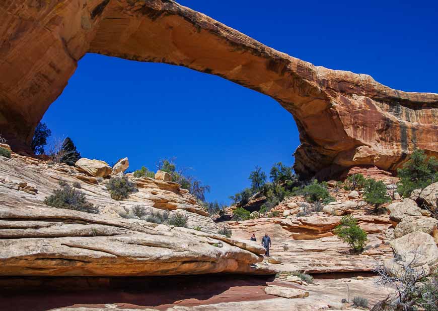 Loads of trails to explore in Natural Bridges National Monument