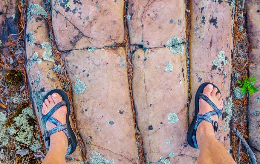 The pink granite of the Georgian Bay