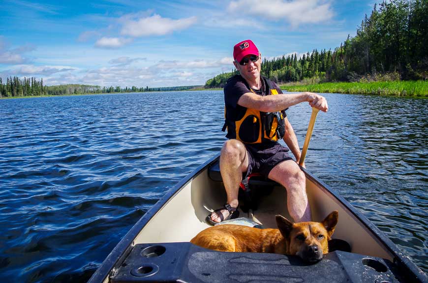  On the Lac la Biche canoe circuit the dog is enjoying the cpaddling life