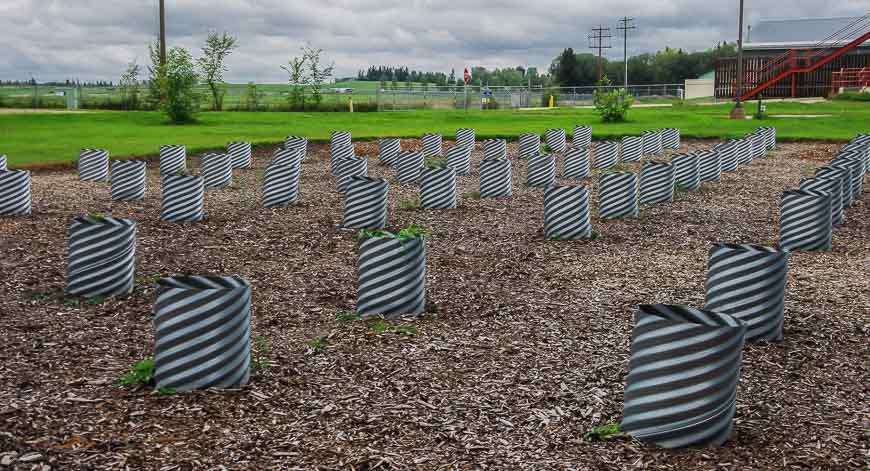 The weed garden at the Lacombe Research Centre
