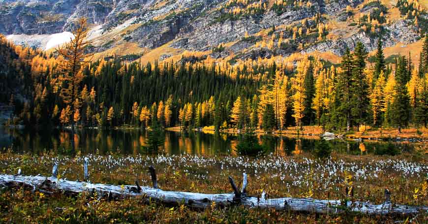 O'Brien Lake surrounded by larches is equally spectacular