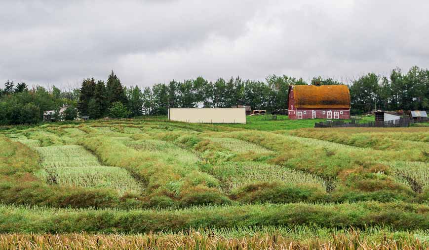 Beautiful farm country just outside of Red Deer