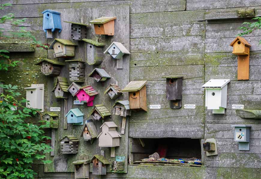 No shortage of bird houses at the Ellis Bird Farm