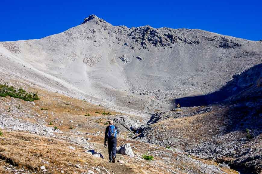 It's a rocky world above treeline on the hike to Buller Pass