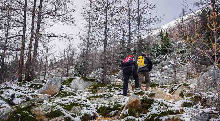 It's pretty with a dusting of snow as you get close to the Saddleback on the Fairview Mountain hike