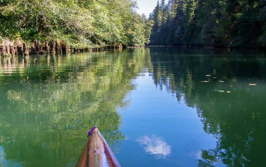 Exploring the Big River Estuary - one of the fun things to do in Mendocino