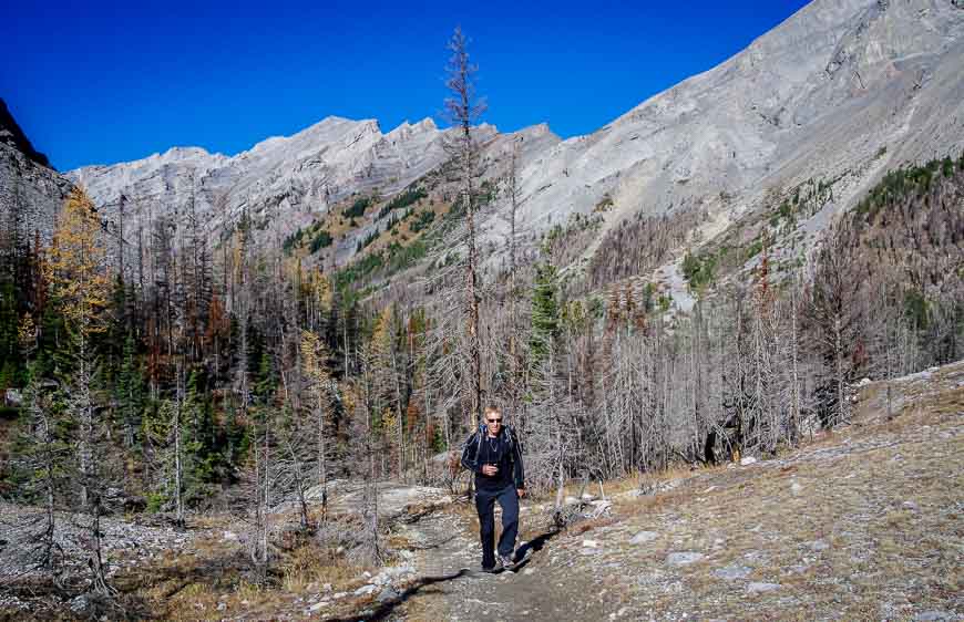 John climbing out of the trees on the way to Buller Pass