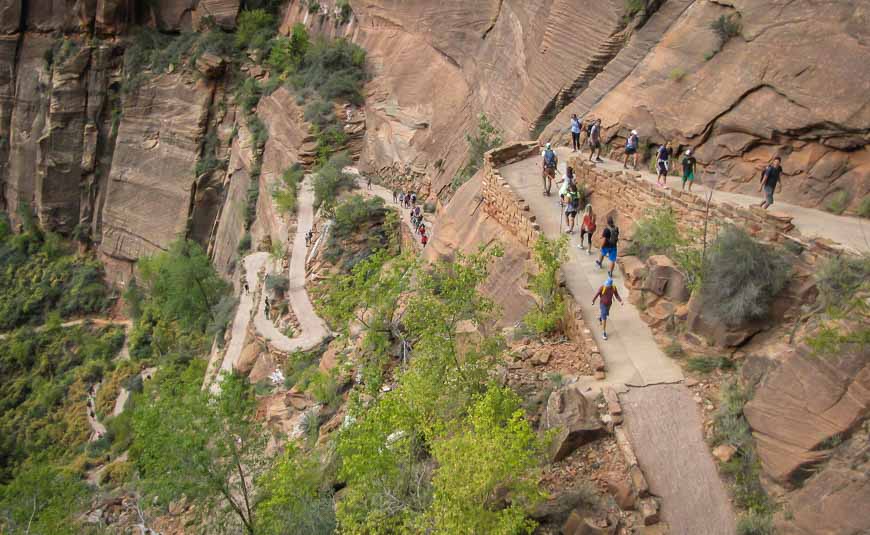 Scout Lookout Hike in Zion National Park | Hike Bike Travel