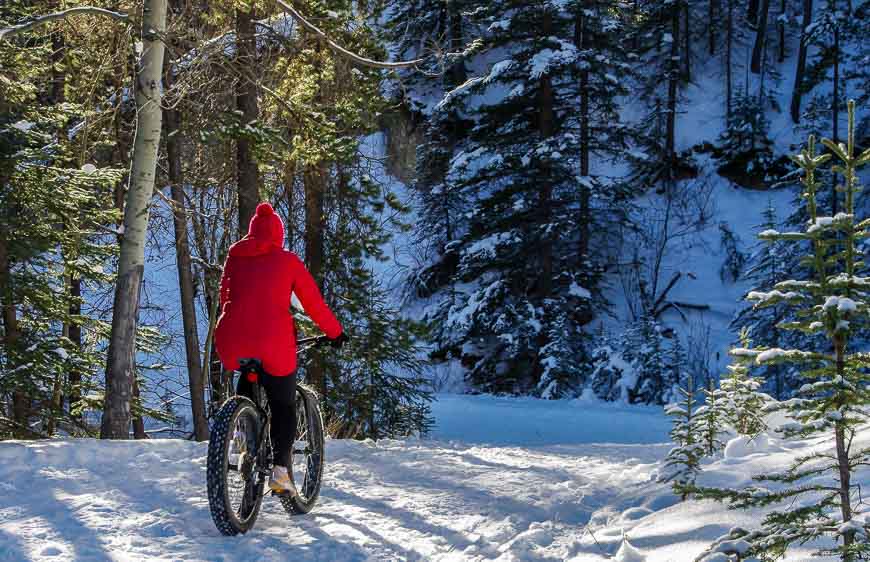 An enjoyable section on the Spray River trail